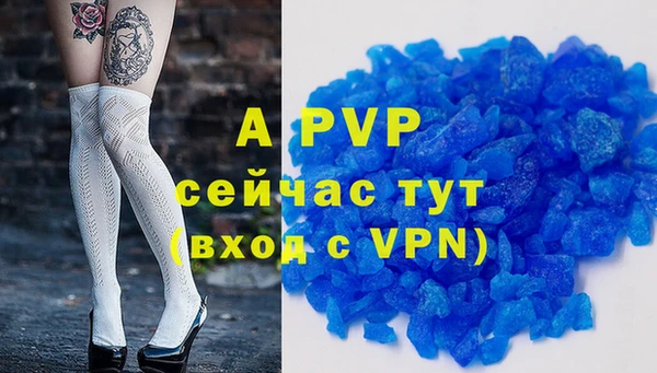 эйфоретик Новодвинск