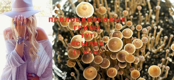 эйфоретик Новодвинск