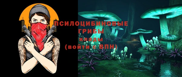 эйфоретик Новодвинск