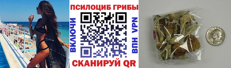 Галлюциногенные грибы мухоморы  Ряжск 